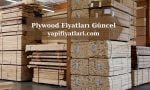 plywood fiyatları 2022